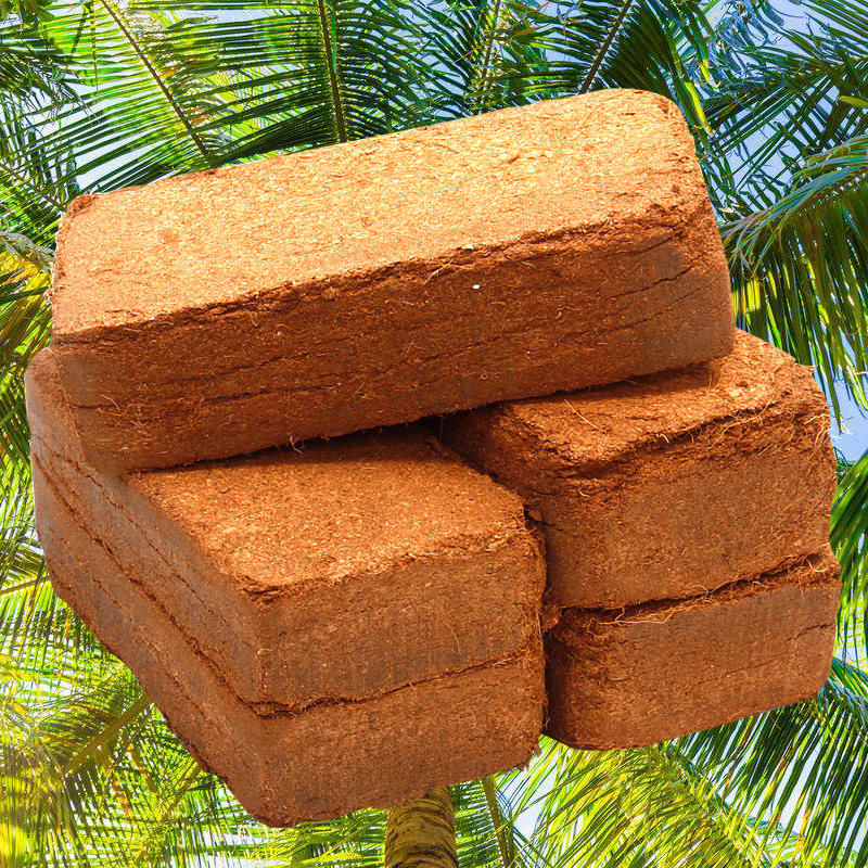 棷砖种花营养土多肉土种菜通用型