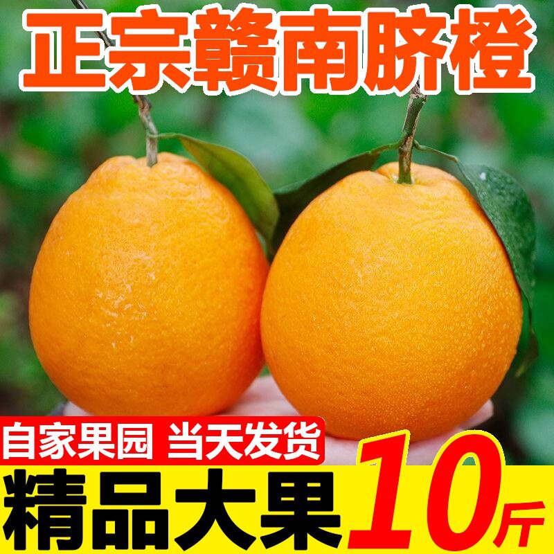江西赣南脐橙橙子10斤装新鲜现果蔬/生鲜/食品专用