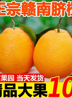 江西赣南脐橙橙子10斤装新鲜现摘特级大果手掰橙正宗赣州产地直发