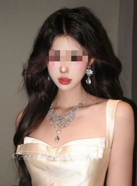 轻奢重工银色花朵项链耳环套装2025新款女新娘礼服配饰夸张锁骨链