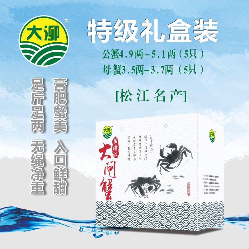 大泖牌上海黄浦江大闸蟹本地鲜活