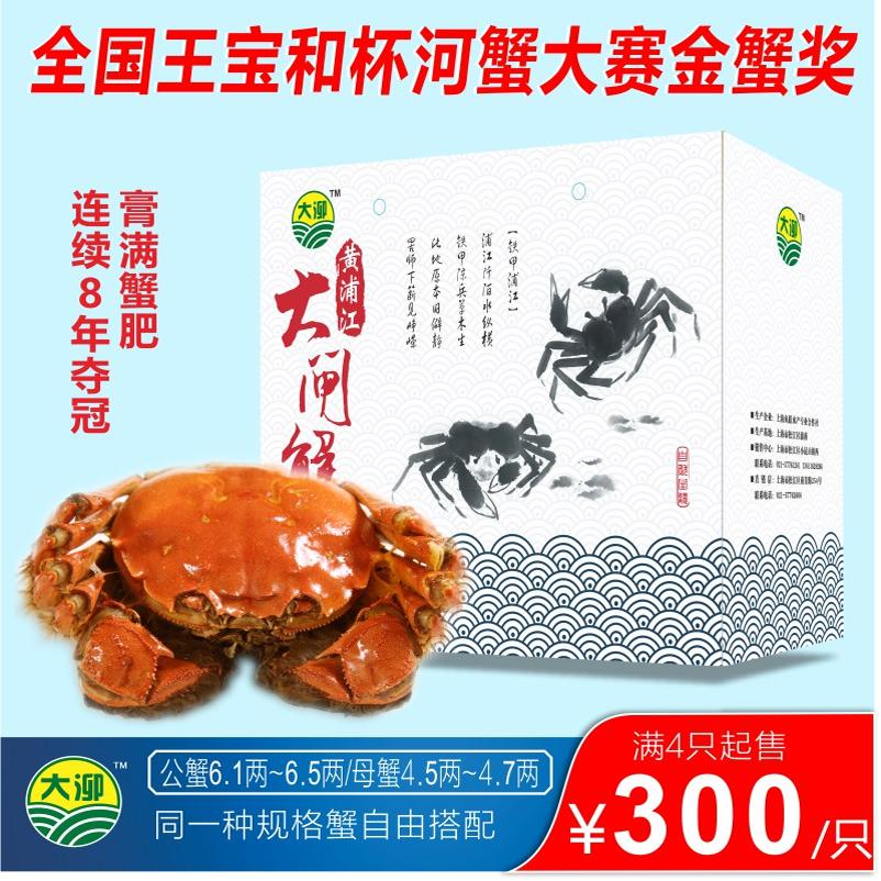 上海大泖牌黄浦江大闸蟹活物同城本地鲜活 水产螃蟹 4只起售
