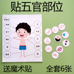 贴五官 身体部位 幼儿园宝宝2345-6岁儿童魔术贴操作认知训练教具