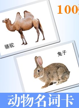 认知卡动物名词自闭症说话早教