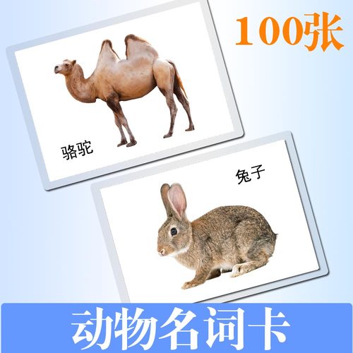 认知卡动物名词自闭症说话早教