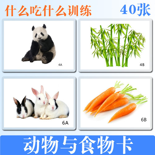 教具卡片动物吃什么住在哪