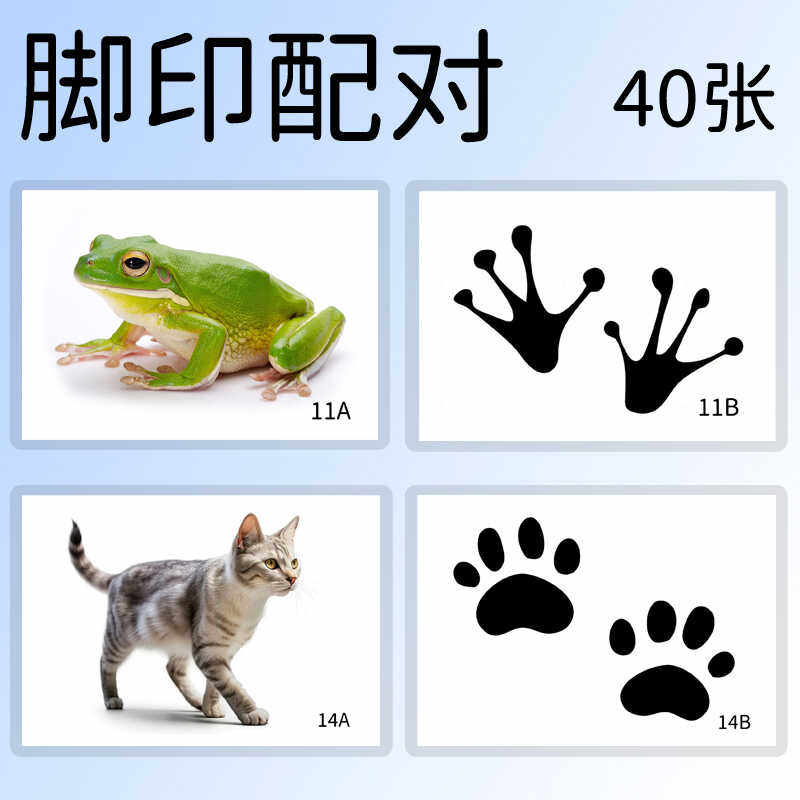 观察训练小动物的脚印配对幼儿3-6岁宝宝益智教具材料区防水塑封