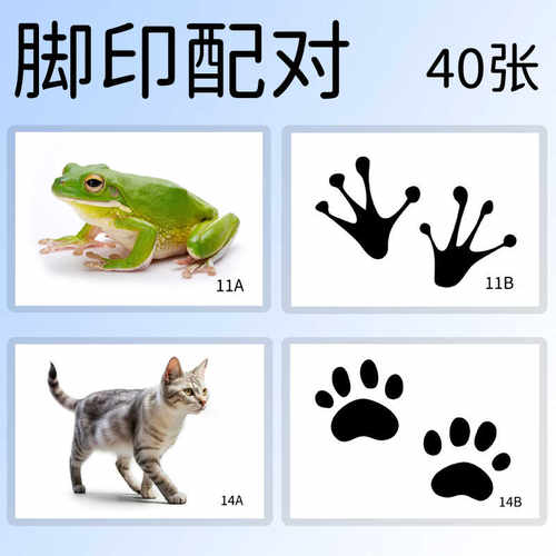 卡片蒙氏科学文化区动物脚印配对