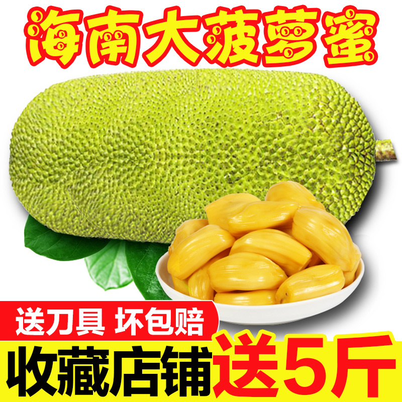 海南菠萝蜜黄肉大树木波罗蜜红20/25/30斤三亚新鲜应当季热带水果