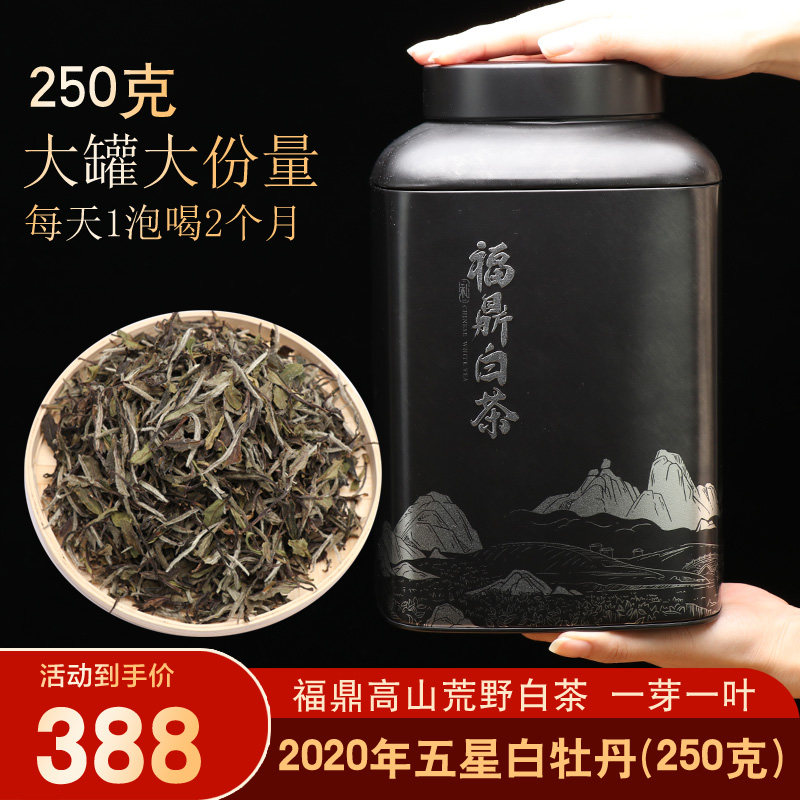 高端品质福鼎白茶白牡丹茶叶250克礼盒散茶 太姥山荒野福鼎老白茶