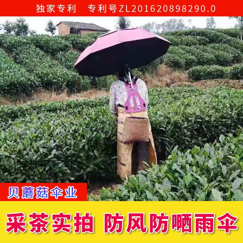采茶伞背伞遮阳伞黑胶晴雨防晒伞