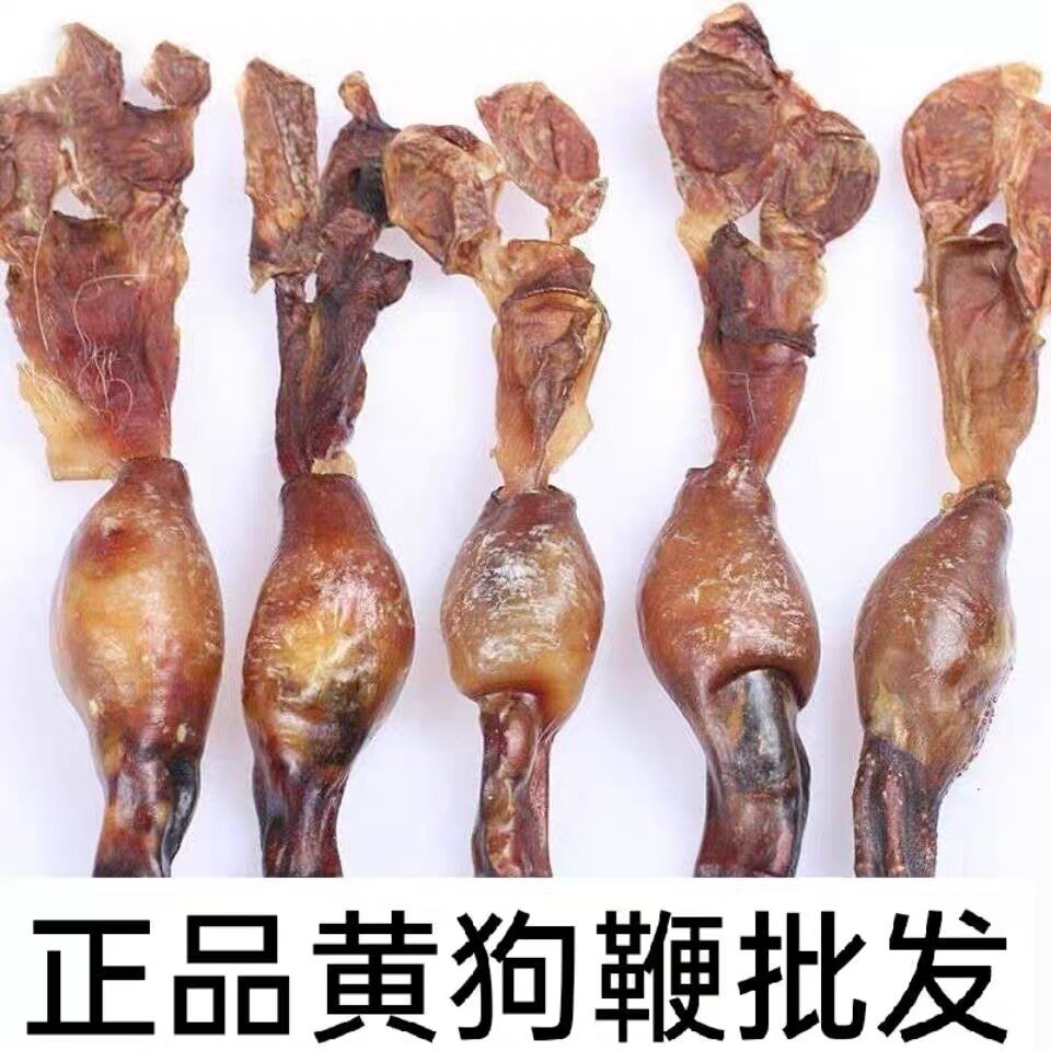 黄狗鞭新鲜黄狗肾食用泡酒料中药