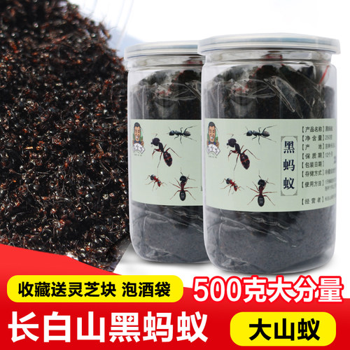 东北长白山黑蚂蚁泡酒500g蚁酸充足大山蚂蚁非拟黑多刺蚁干 - 封面