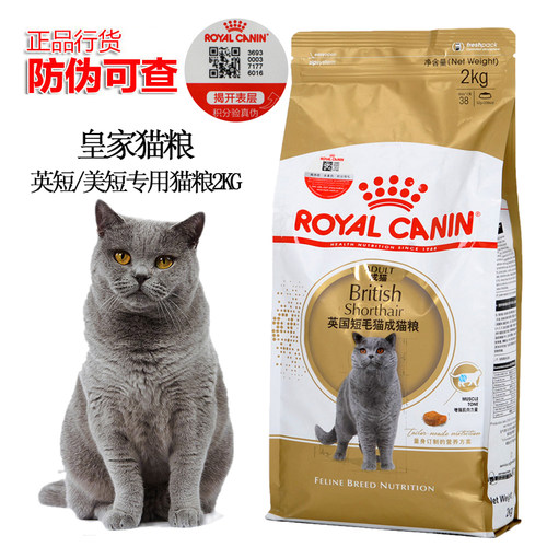 英国短毛猫成猫猫粮皇家增肥发腮
