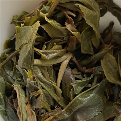 桃子寨古树回甘迅速生津快水蜜桃幽香茶气足森林野韵饱满汤厚