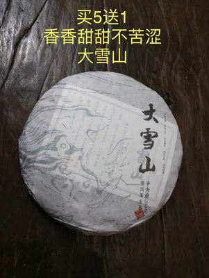 春芽普洱生茶回甘生津耐泡