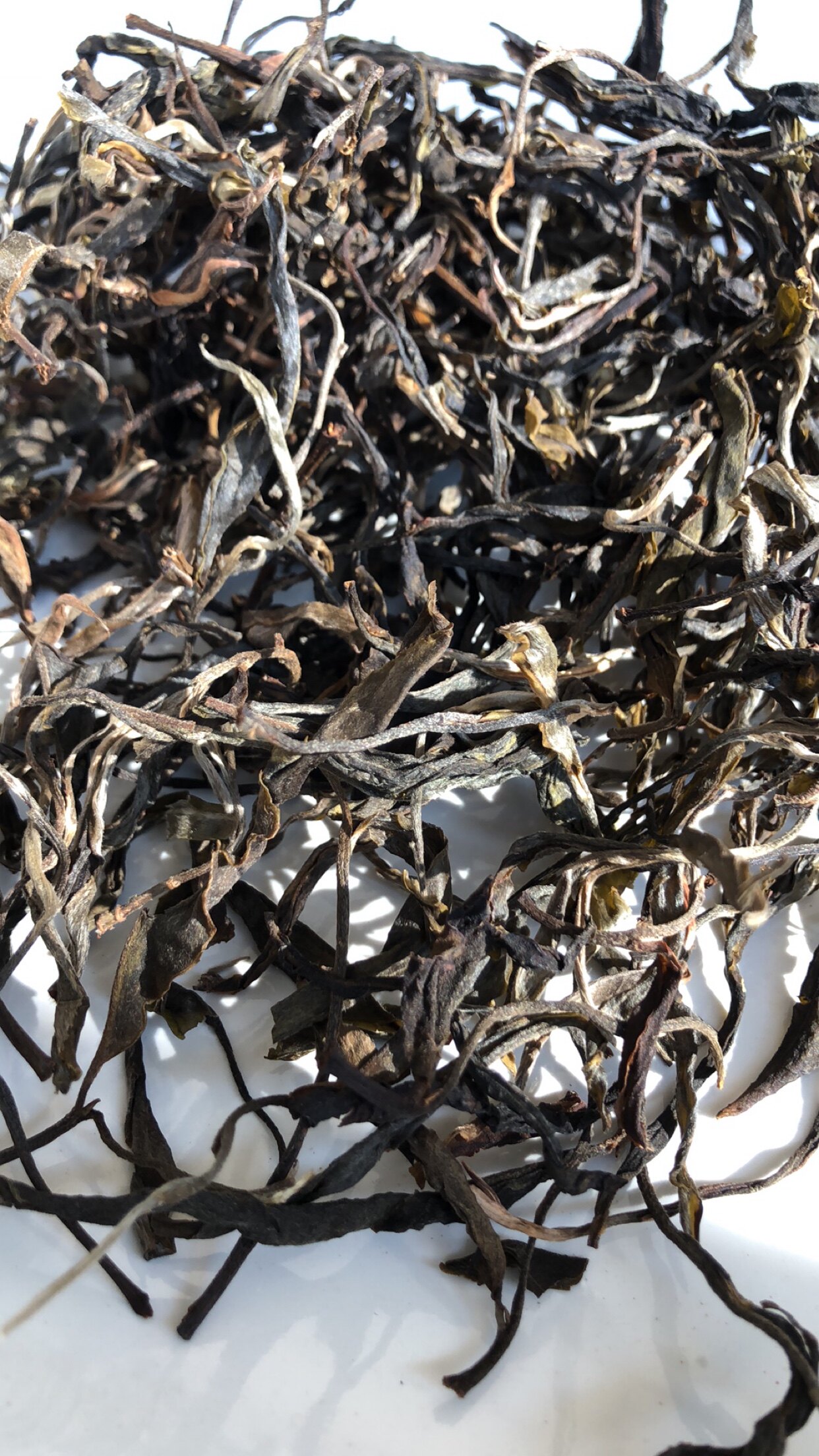 真大巨树高杆古树 100克价格  品饮感拉到巅峰