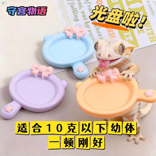 爬宠R属小苗手喂果泥盘猫咪果泥盘食碟碗适用睫角守宫盖勾亚幼苗