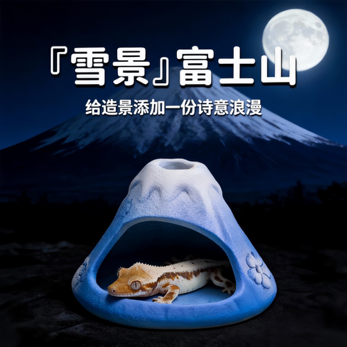 爬宠守宫富士山造景攀爬躲避洞穴