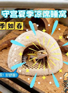 爬宠守宫四季通用凉席降温躲避窝
