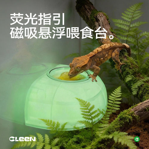其鳞爬宠强磁吸夜光果泥食盆水盆