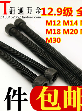 12.9级全牙内六角杯头螺丝 螺杆M12/14/16/18/20/24/30*55~150200