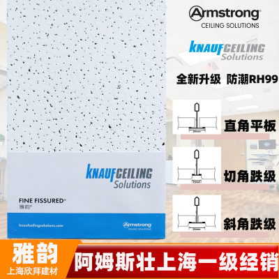 armstrong矿棉板吸音防潮RH99