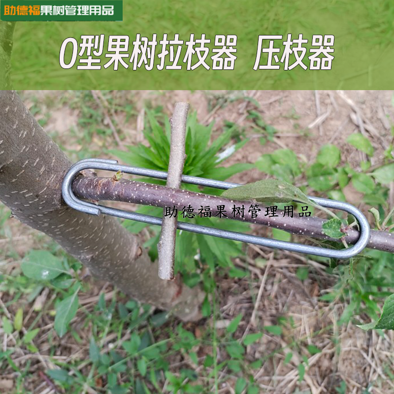 果树拉枝器O型压枝定型器苹果梨柑橘枣树弯枝别枝拉枝神器开角器