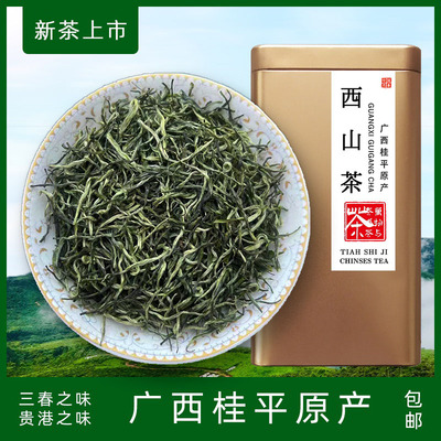 春茶桂平西山茶天示记毛尖茶