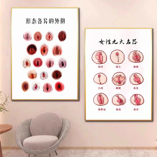 女性九大名器挂画九型图配对海报生殖养护私密形态各异科普挂画