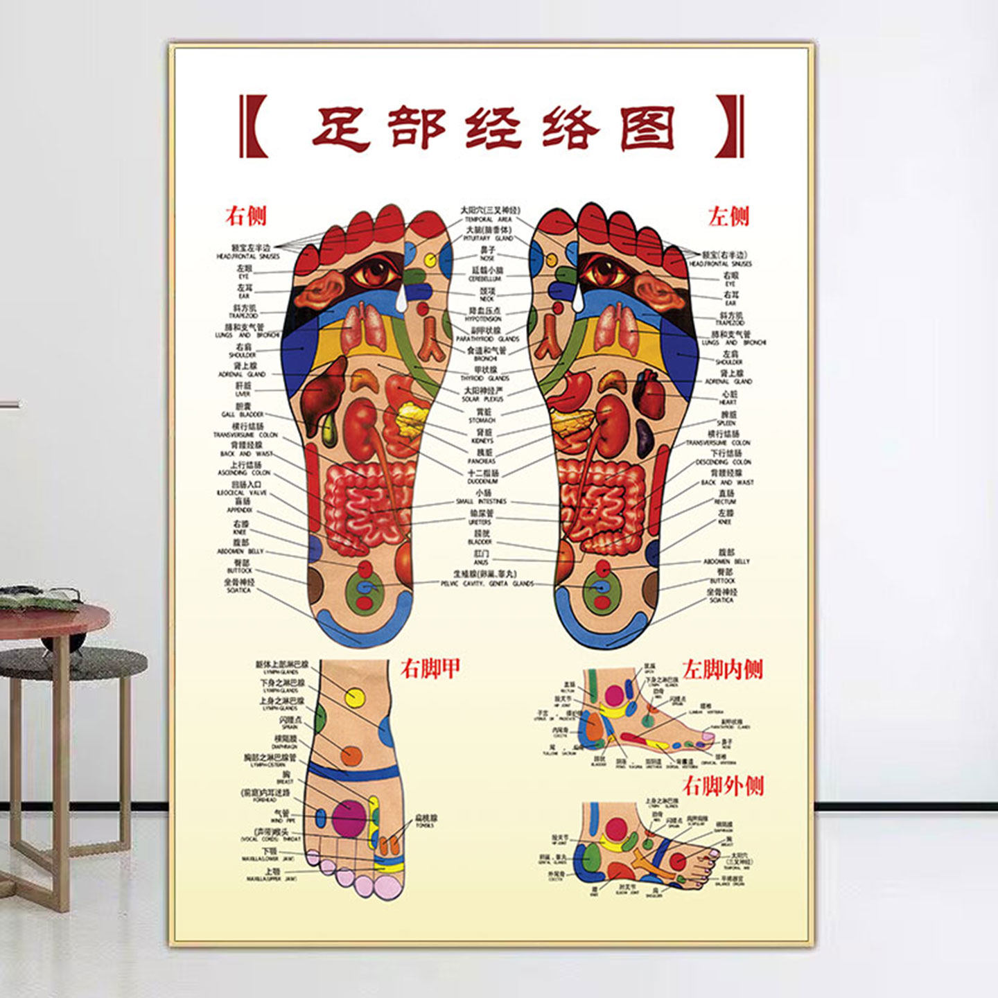 足部穴位图反射区挂图脚底按摩艾灸针灸足疗刮痧拔罐养生海报宣传