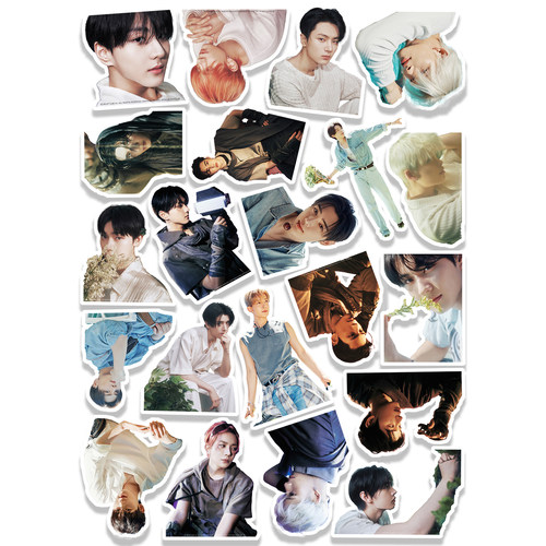 EN-符团DICON30周边贴纸