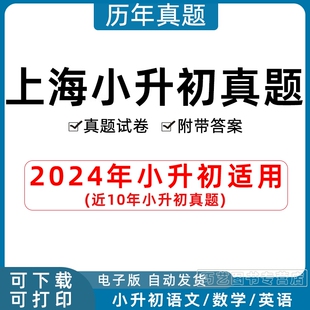 2022近十年 解析答案2010 2024年上海市小升初历年真题语文数学英语习题Word版 小学升初中试题一二三四五六年级上下册试卷电子版