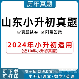 解析济南青岛临沂淄博潍坊滨州菏泽 2024年山东省小升初历年真题语文数学英语习题Word小学试题一二三四五六年级上下册试卷电子版