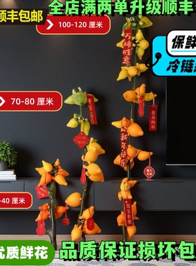 五代同堂黄金果鲜切枝云南直发福禄果小猪佩奇花期超长高级年宵花