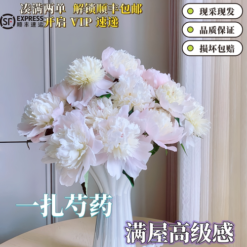 芍药鲜切花品质保证送礼插花