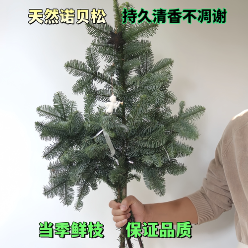 诺贝松鲜切枝圣诞装饰花束DIY