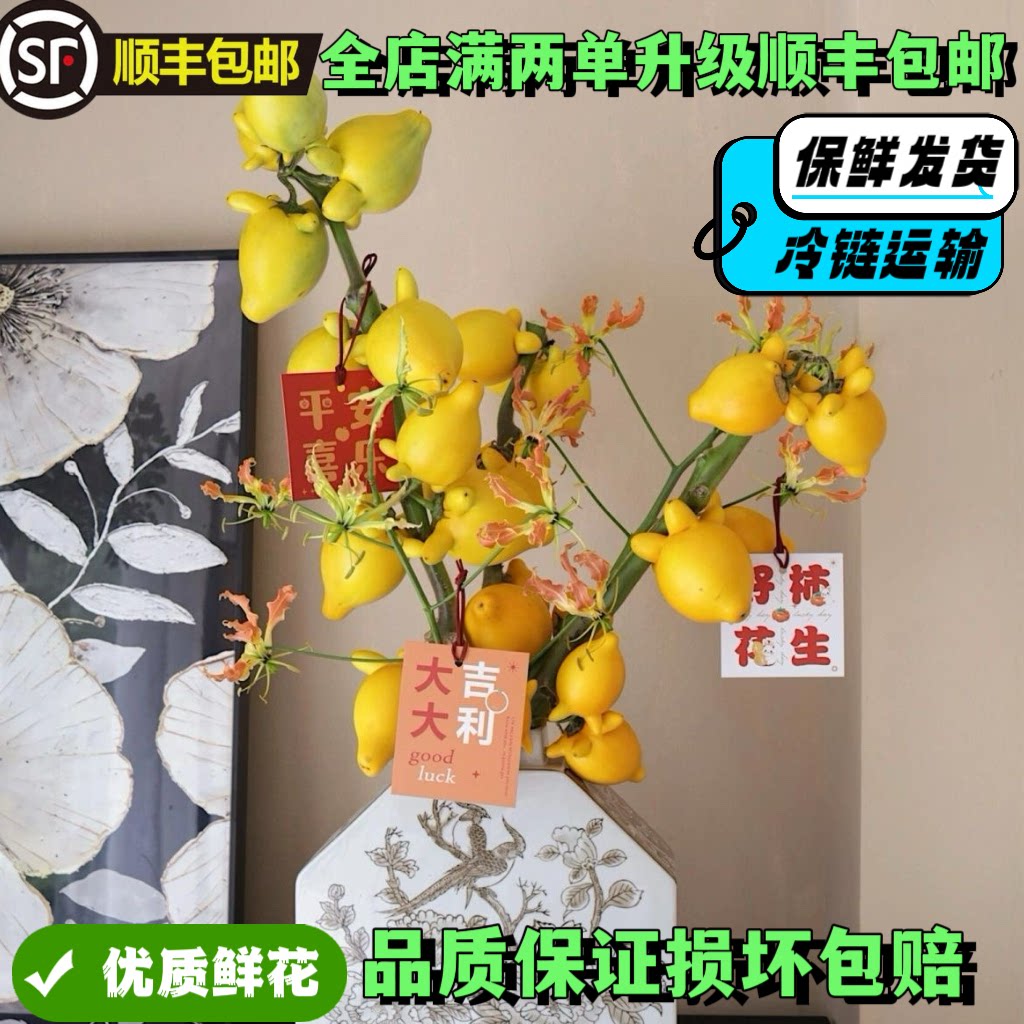 五代同堂黄金果鲜切枝云南直发福禄果小猪佩奇花期超长高级年宵花