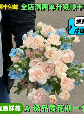 多头康乃馨鲜花网红花束鲜花云南基地直发客厅办公室插花手捧花