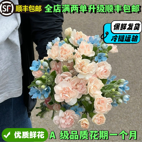 多头康乃馨鲜花教师节花束鲜花云南基地直发客厅办公室插花手捧花