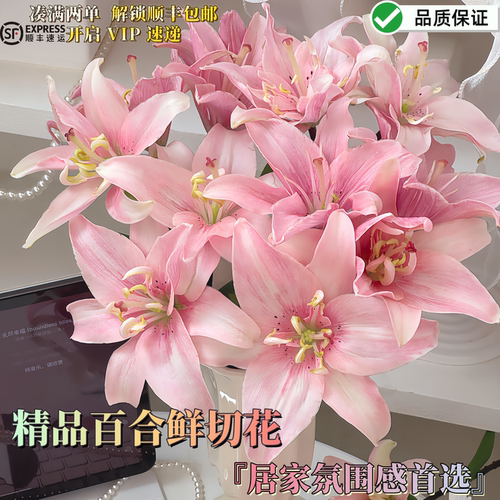 云南直发香水百合浓香鲜花
