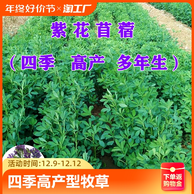 鸡鸭鹅猪牛羊鱼兔马都可以吃