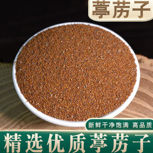 葶苈子种子 独行菜种子 播娘蒿种子 常用药材种籽