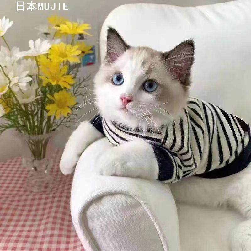 日本めいひん猫咪衣服布偶猫四季帅气两脚卫衣短春秋狗狗衣服防脱