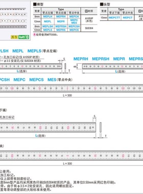 BLR61/BLR62/65/66/67-L300刻度尺MES/MEPCTT/MEPCT-100 200 300