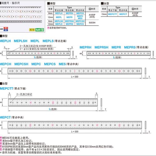 BLR61/BLR62/65/66/67-L300刻度尺MES/MEPCTT/MEPCT-100 200 300