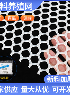 超厚小孔塑料网加厚塑料网
