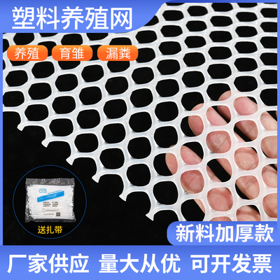 超厚小孔塑料网加厚塑料网