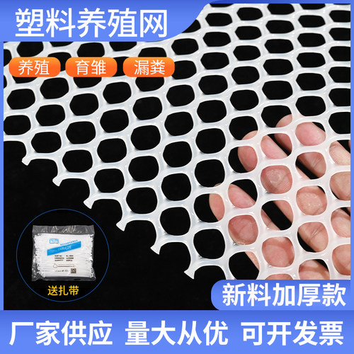 超厚小孔塑料网加厚塑料网