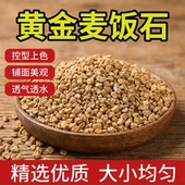 惠立麦饭石颗粒黄金软麦饭多肉专用纯颗粒营养土绿植通用铺面石